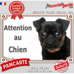 Petit Brabançon noir et feu, plaque portail "Attention au Chien" pancarte entrée, panneau photo race