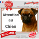 Petit Brabançon fauve rouge à masque noir, plaque portail "Attention au Chien" pancarte entrée photo race
