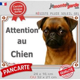 Petit Brabançon fauve rouge à masque noir, plaque portail "Attention au Chien" pancarte entrée photo race