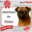 Petit Brabançon fauve rouge, plaque portail "Attention au Chien" 2 tailles LUX D