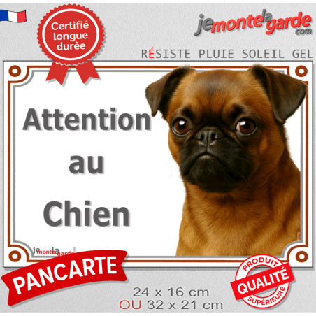 Petit Brabançon fauve rouge à masque noir, plaque portail "Attention au Chien" pancarte entrée photo race