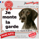 Braque Allemand noir, Plaque Portail "Je Monte la Garde, risques et périls" pancarte panneau attention au chien photo