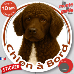 Chien d'Eau Espagnol marron chocolat, disque photo autocollant "Chien à Bord" Sticker adhésif rond vitre voiture