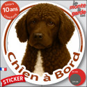 Chien d'Eau Espagnol marron, disque autocollant voiture "Chien à Bord" 2 tailles D