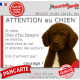 Chien d'Eau Espagnol marron chocolat, plaque extérieure humour "Attention au Chien, Jetez Vous au Sol, attendez secours, courage