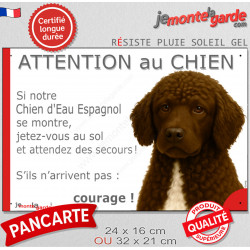Chien d'Eau Espagnol marron chocolat, plaque extérieure humour "Attention au Chien, Jetez Vous au Sol, attendez secours, courage