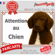 Chien d'Eau Espagnol marron chocolat, plaque extérieure portail "Attention au Chien" pancarte panneau photo