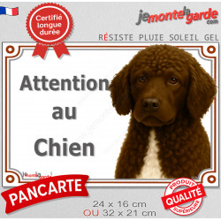 Chien d'Eau Espagnol marron chocolat, plaque extérieure portail "Attention au Chien" pancarte panneau photo