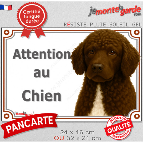 Chien d'Eau Espagnol marron chocolat, plaque extérieure portail "Attention au Chien" pancarte panneau photo
