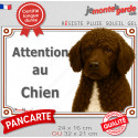 Chien d'Eau Espagnol marron, plaque extérieure portail "Attention au Chien" 2 tailles LUX D
