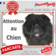 Chow-Chow noir, plaque portail extérieure "Attention au Chien" pancarte panneau photo