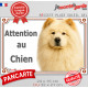 Chow-Chow crème beige sable, plaque portail extérieure "Attention au Chien" pancarte panneau photo