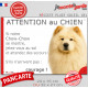 Chow-Chow crème beige sable, plaque portail humour "Attention au Chien, Jetez Vous au Sol, attendez secours, courage" photo