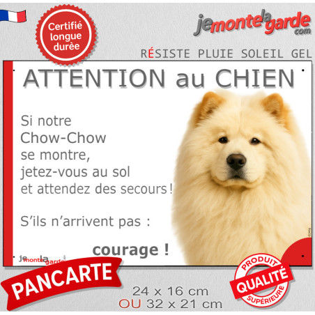 Chow-Chow crème beige sable, plaque portail humour "Attention au Chien, Jetez Vous au Sol, attendez secours, courage" photo, rés