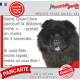 Chow-Chow noir, plaque humour "parcourt distance Niche - Portail moins 3 secondes" pancarte attention au chien photo
