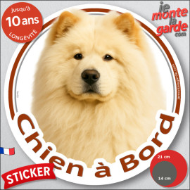 Chow-Chow crème sable beige Tête, sticker autocollant rond "Chien à Bord" Disque adhésif vitre voiture photo, résiste pluie sole