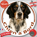 Setter Anglais tricolore, sticker voiture rond "Chien à Bord" 2 tailles D