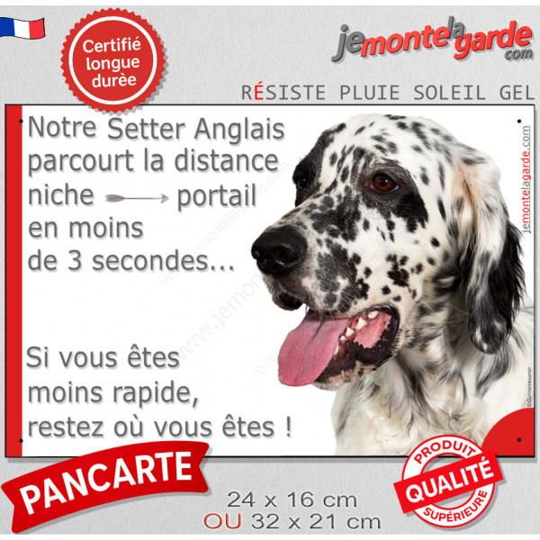 Setter Anglais noir et blanc, plaque humour "parcourt distance Niche - Portail moins 3 secondes, rapide" photo drôle