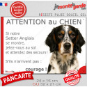 Setter Anglais tricolore, plaque extérieure humour "Attention au Chien, Jetez Vous au Sol" 2 tailles JET D