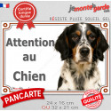 Setter Anglais tricolore, plaque portail extérieur "Attention au Chien" 2 tailles LUXE D