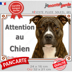 Amstaff bringé, plaque extérieure portail "Attention au Chien" pancarte photo American Staffordshire Terrier