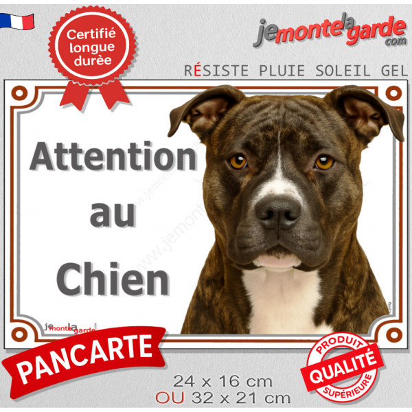 Amstaff bringé, plaque extérieure portail "Attention au Chien" pancarte photo American Staffordshire Terrier