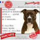 Amstaff bringé, plaque extérieure humour "parcourt distance Niche-Portail moins 3 secondes, rapide" photo attention au chien