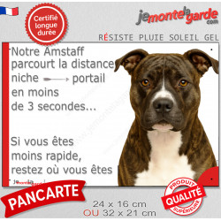 Amstaff bringé, plaque extérieure humour "parcourt distance Niche-Portail moins 3 secondes, rapide" photo attention au chien