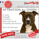 Amstaff bringé, plaque extérieure humour "Attention au Chien, Jetez Vous au Sol, attendez secours, courage" photo portail
