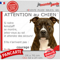 Amstaff bringé, plaque extérieure humour "Attention au Chien, Jetez Vous au Sol, attendez secours, courage" photo portail