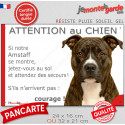 Amstaff bringé, plaque extérieure humour "Attention au Chien, Jetez Vous au Sol" 2 tailles JET D