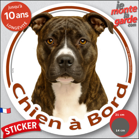 Amstaff bringé, disque photo autocollant "Chien à Bord" Sticker adhésif rond vitre voiture American Staff Terrier, résiste pluie
