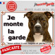 Amstaff bringé, plaque portail extérieure "Je Monte la Garde, risques périls" pancarte photo American Staff