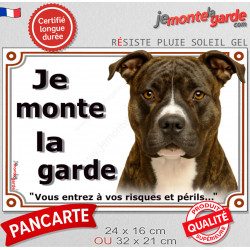 Amstaff bringé, plaque portail extérieure "Je Monte la Garde, risques périls" pancarte photo American Staff
