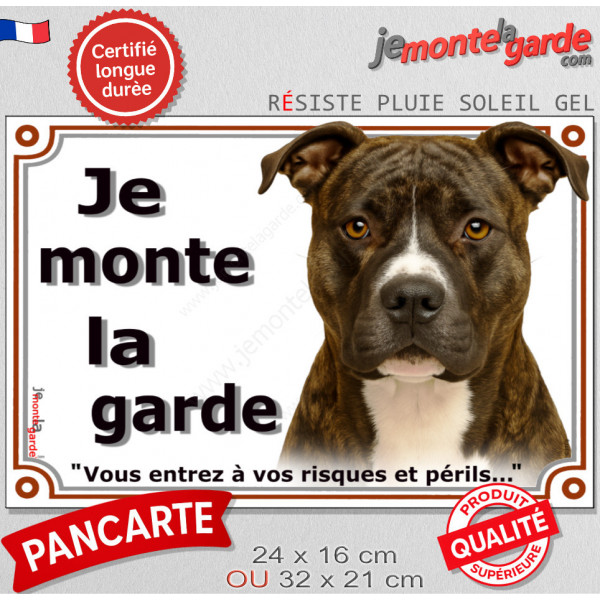 Amstaff bringé, plaque portail extérieure "Je Monte la Garde, risques périls" pancarte photo American Staff