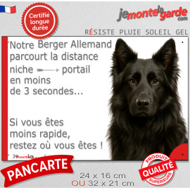 Berger Allemand noir poil long, plaque humour "parcourt la distance Niche-Portail en moins de 3 secondes, rapide" photo chien, r