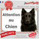 Berger Allemand tout noir poil long, plaque extérieure portail "Attention au Chien" pancarte panneau photo