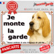 Basset Hound fauve clair, plaque portail "Je Monte la Garde, risques et périls" pancarte panneau Hund attention au chien photo