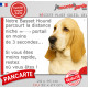 Basset Hound fauve clair, plaque humour "parcourt distance Niche-Portail moins 3 secondes, rapide" photo attention chien