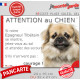 Epagneul Tibétain fauve, plaque portail humour "Attention au Chien, Jetez Vous au Sol, attendez secours, courage" photo pancarte