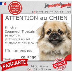 Epagneul Tibétain fauve, plaque portail humour "Attention au Chien, Jetez Vous au Sol, attendez secours, courage" photo pancarte