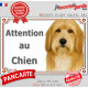 Bearded Collie fauve et blanc, plaque extérieure portail "Attention au Chien" pancarte photo Colley Barbu