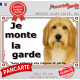 Bearded Collie fauve et blanc, plaque portail extérieure "Je Monte la Garde, risques périls" panneau pancarte photo Colley Barbu