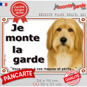 Bearded Collie fauve, plaque portail "Je Monte la Garde, Risques périls" 2 tailles LUX D