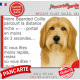 Bearded Collie fauve, plaque extérieure humour "parcourt distance Niche-Portail moins 3 secondes, rapide" photo attention chien