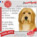 Bearded Collie fauve, plaque extérieure humour "distance Niche-Portail 3 secondes" 2 tailles 3S D