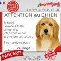 Bearded Collie fauve, plaque extérieure humour "Attention au Chien, Jetez Vous au Sol" 2 tailles JET D