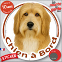 Bearded Collie fauve, disque autocollant voiture "Chien à Bord" 2 tailles D