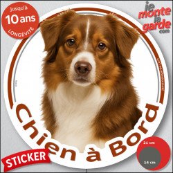Berger Américain Miniature Tricolore rouge, sticker autocollant rond "Chien à Bord" disque photo adhésif voiture Aussie TOY