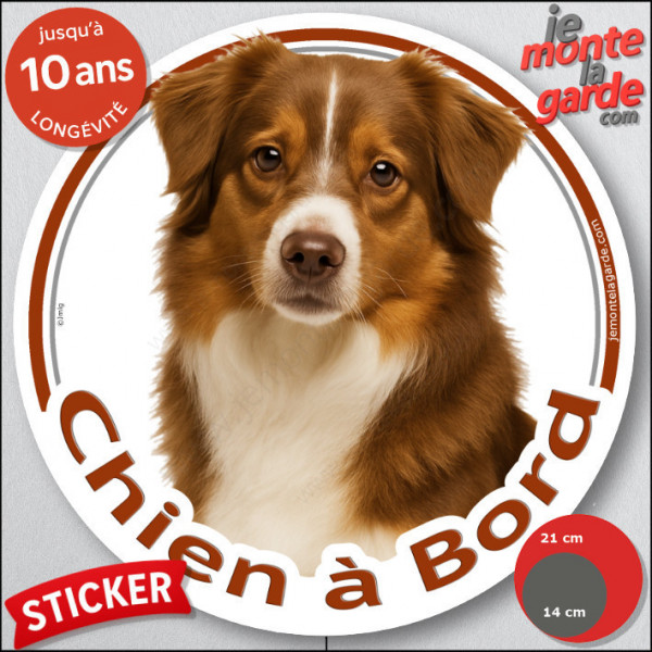 Berger Américain Miniature Tricolore rouge, sticker autocollant rond "Chien à Bord" disque photo adhésif voiture Aussie TOY